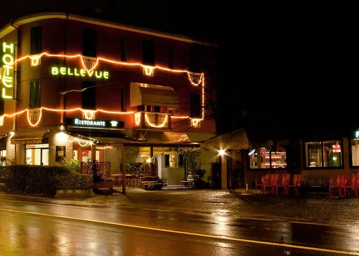 호텔 Bellevue 피아노로